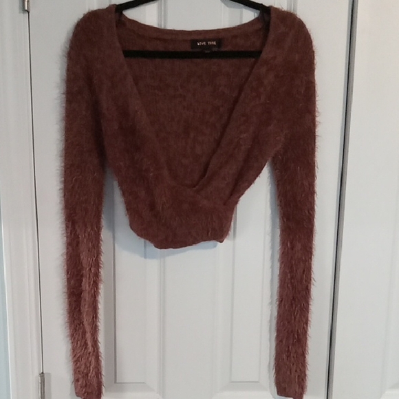 Love Tree Sweaters - Love Tree Women's V-Neck Sweater in Warm Brown